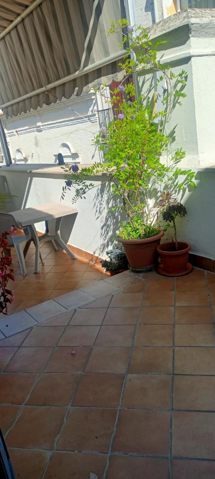 Il Nuovo Bed & Breakfast San Severo Room photo